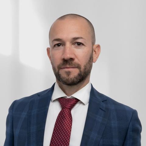 Fontanili e Merli Carlo Daniele